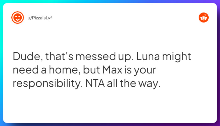 Comment from u/PizzaIsLyf