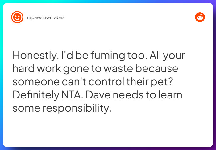 Comment from u/pawsitive_vibes