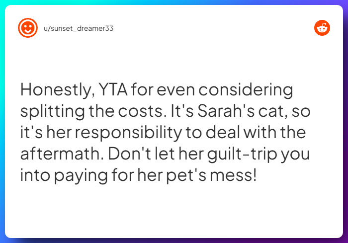 Comment from u/sunset_dreamer33