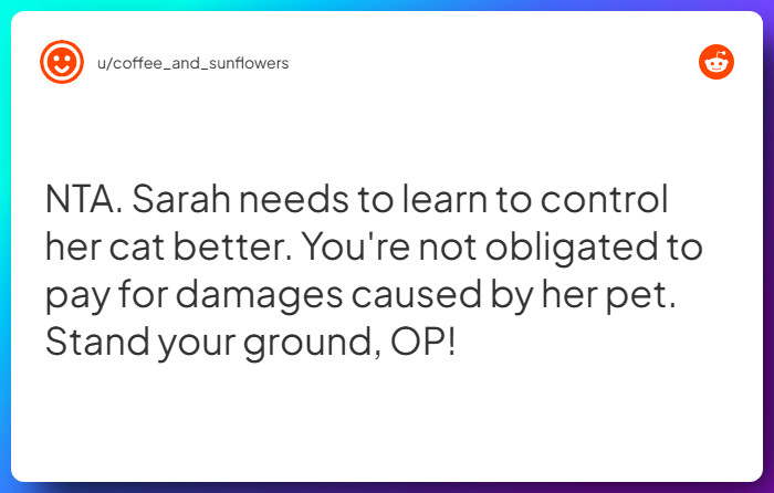 Comment from u/coffee_and_sunflowers