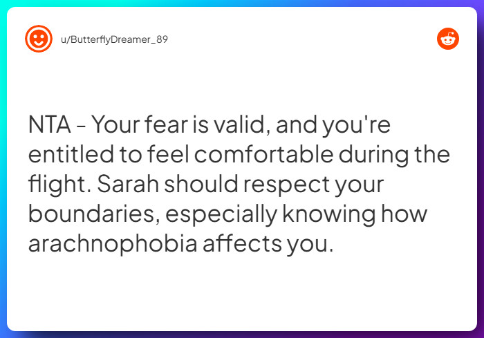 Comment from u/ButterflyDreamer_89