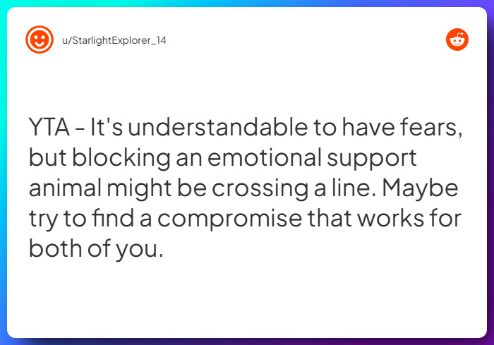 Comment from u/StarlightExplorer_14