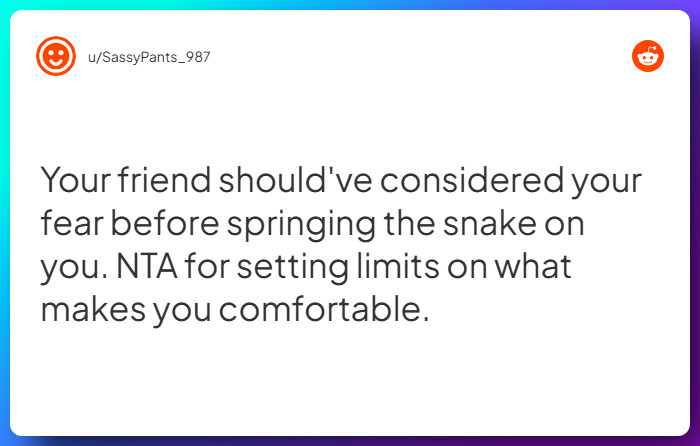 Comment from u/SassyPants_987
