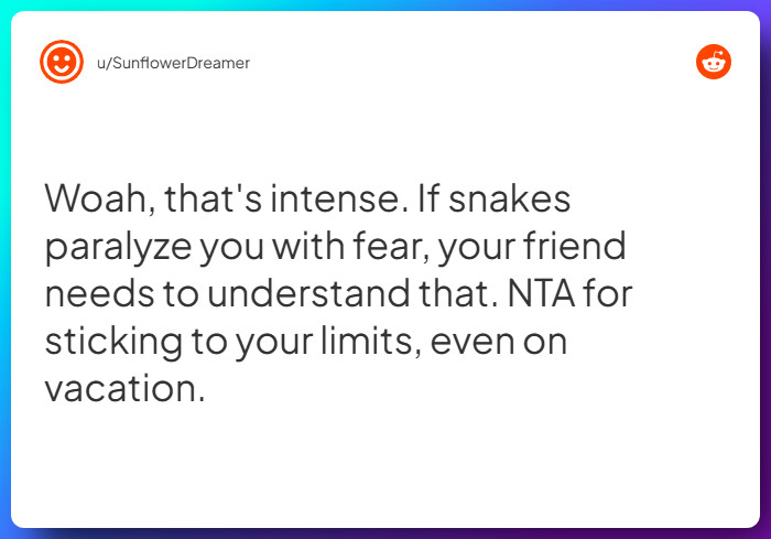 Comment from u/SunflowerDreamer