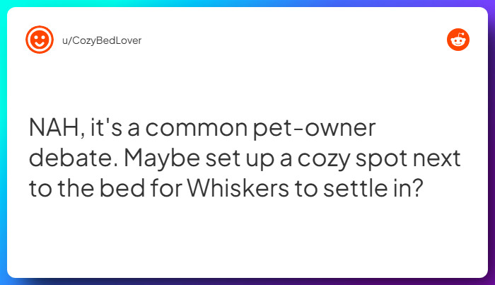 Comment from u/CozyBedLover