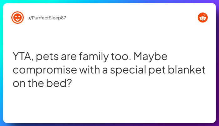 Comment from u/PurrfectSleep87