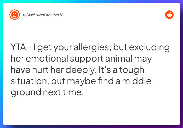Comment from u/SunflowerDreamer76