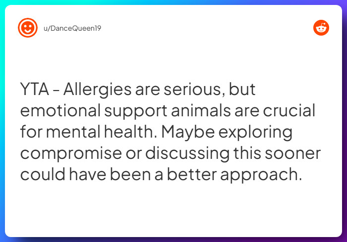 Comment from u/DanceQueen19