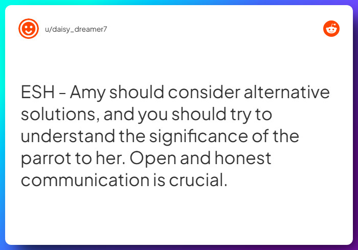 Comment from u/daisy_dreamer7