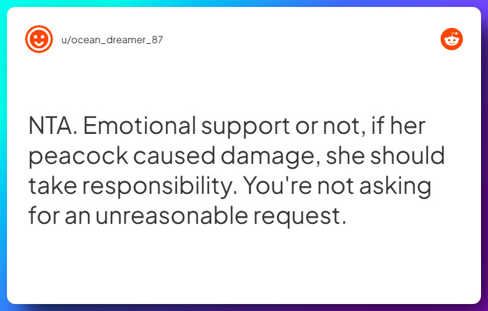 Comment from u/ocean_dreamer_87
