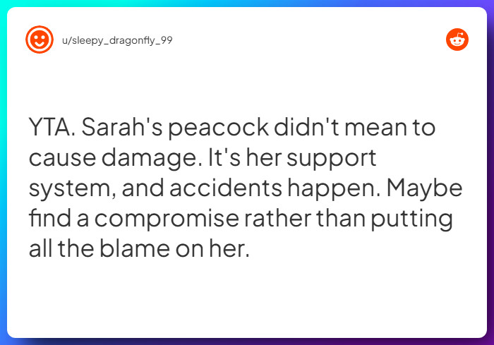 Comment from u/sleepy_dragonfly_99