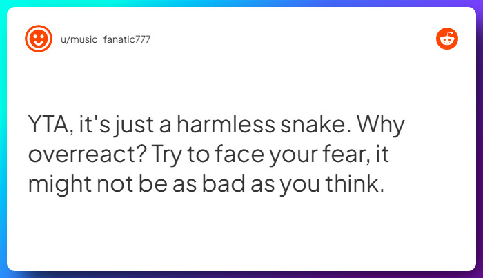 Comment from u/music_fanatic777