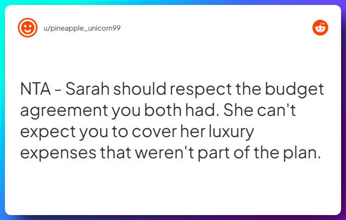 Comment from u/pineapple_unicorn99