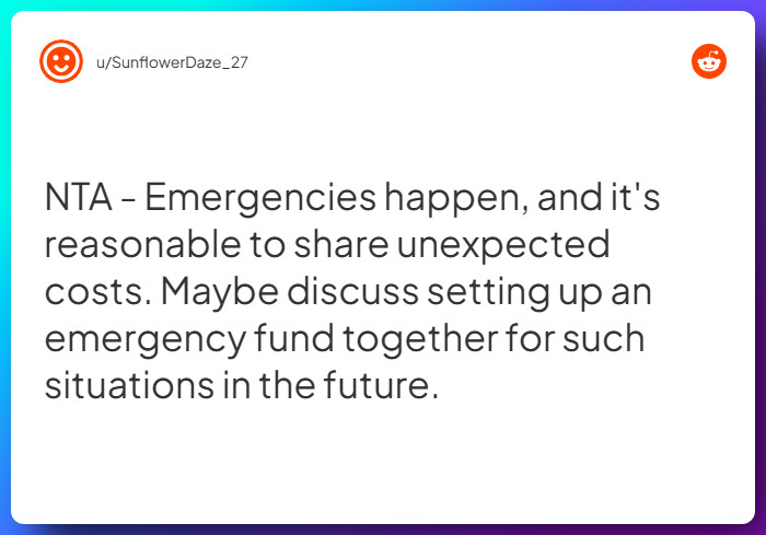 Comment from u/SunflowerDaze_27
