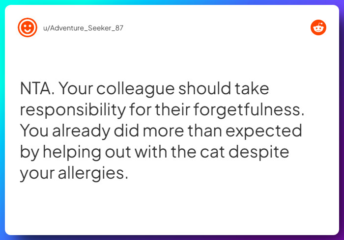 Comment from u/Adventure_Seeker_87