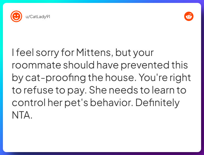 Comment from u/CatLady91
