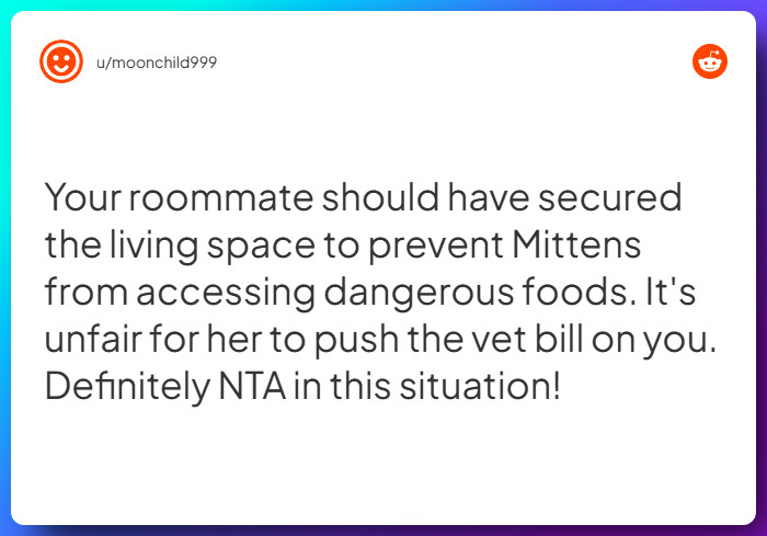 Comment from u/moonchild999
