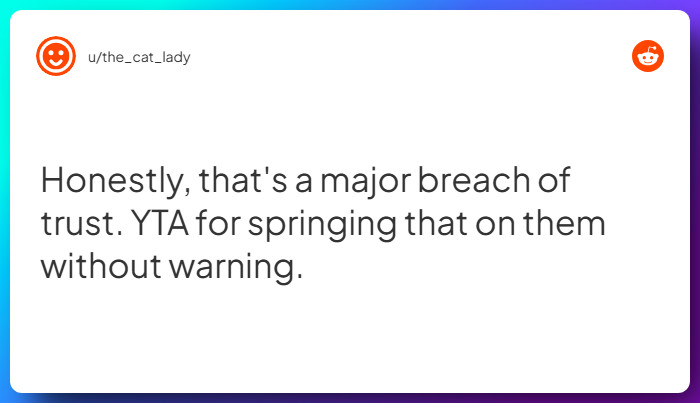 Comment from u/the_cat_lady