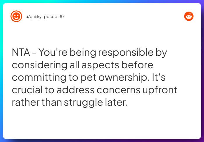 Comment from u/quirky_potato_87