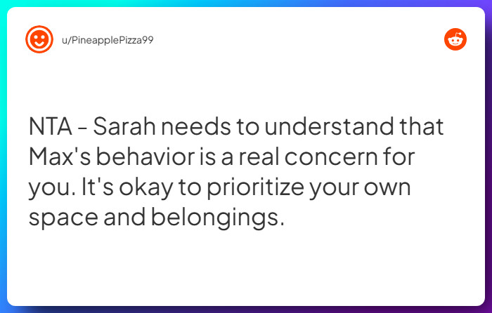 Comment from u/PineapplePizza99