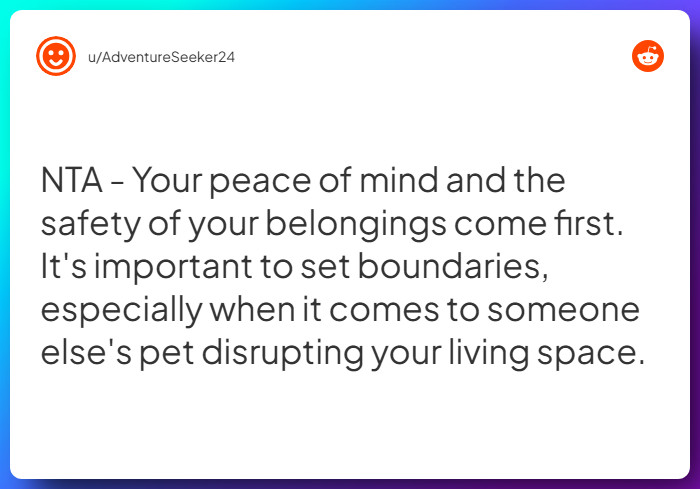 Comment from u/AdventureSeeker24