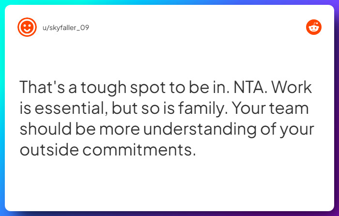 Comment from u/skyfaller_09