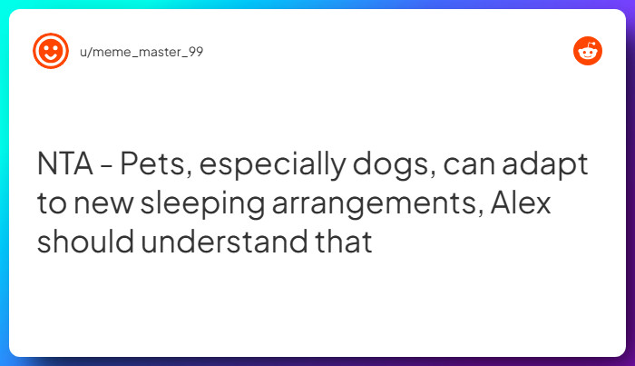 Comment from u/meme_master_99