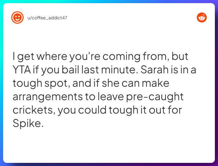 Comment from u/coffee_addict47