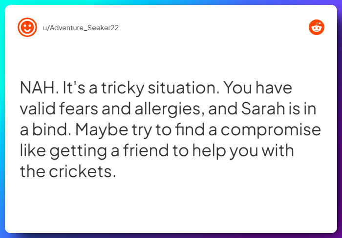 Comment from u/Adventure_Seeker22