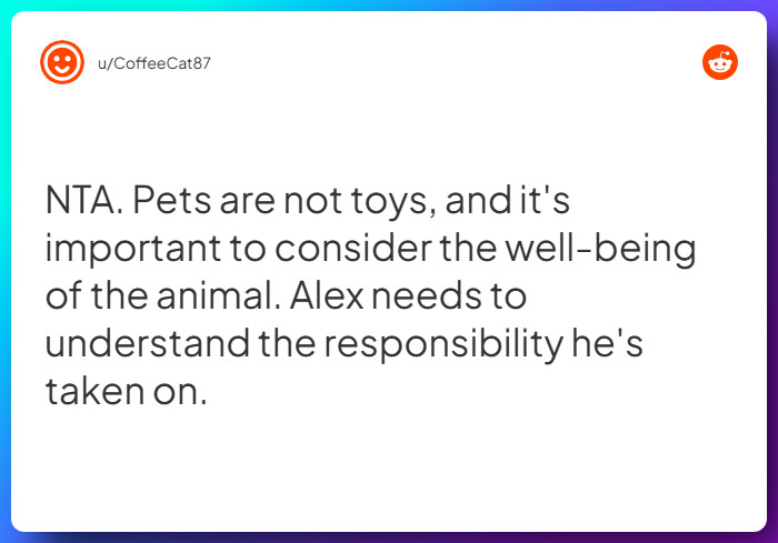 Comment from u/CoffeeCat87