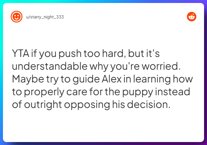 Comment from u/starry_night_333