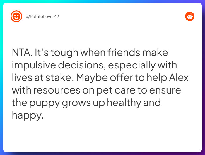 Comment from u/PotatoLover42