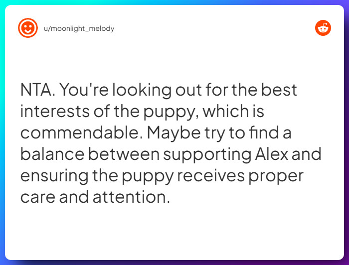 Comment from u/moonlight_melody