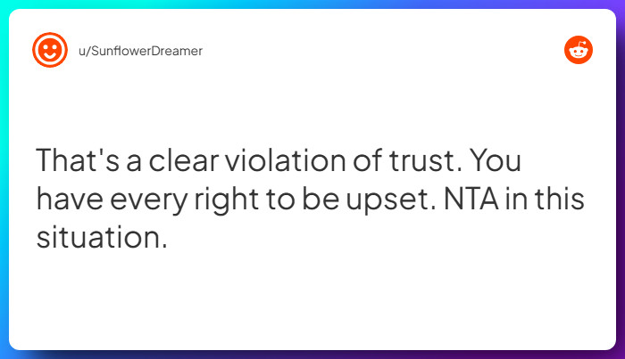 Comment from u/SunflowerDreamer