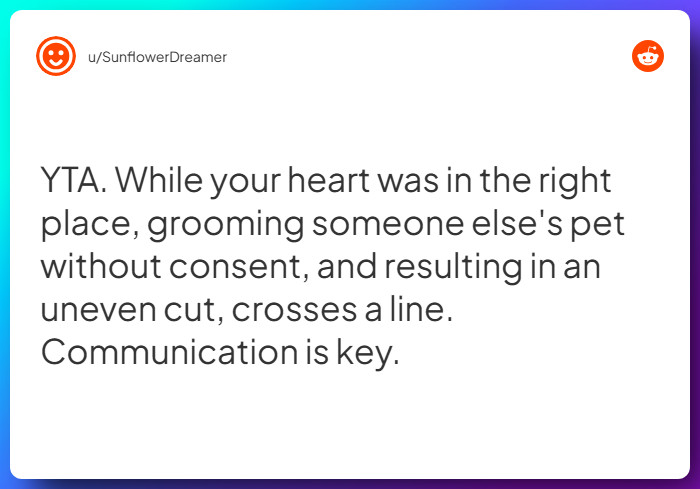 Comment from u/SunflowerDreamer