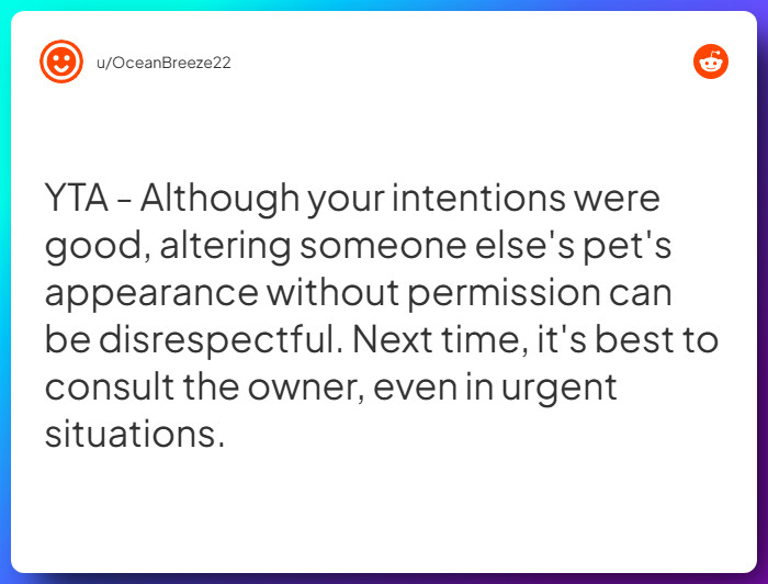 Comment from u/OceanBreeze22