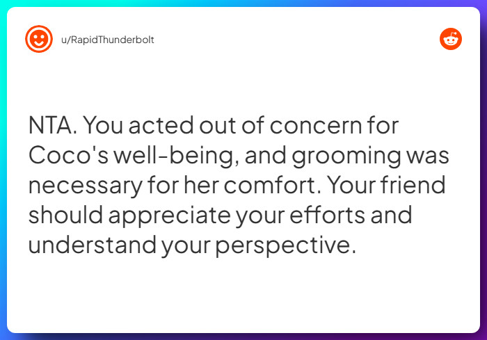 Comment from u/RapidThunderbolt
