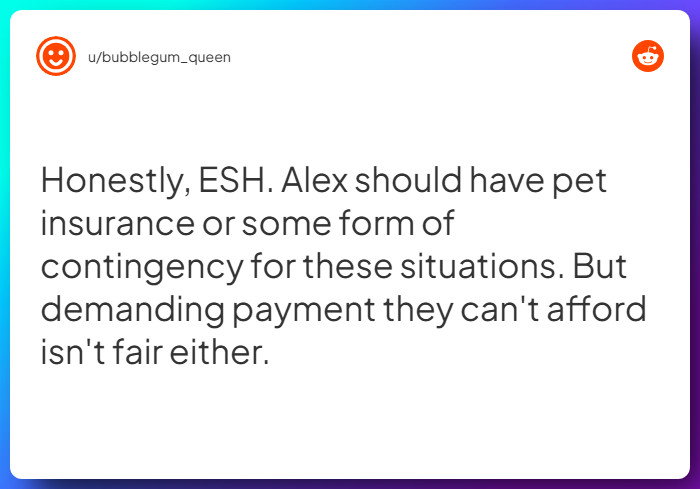 Comment from u/bubblegum_queen