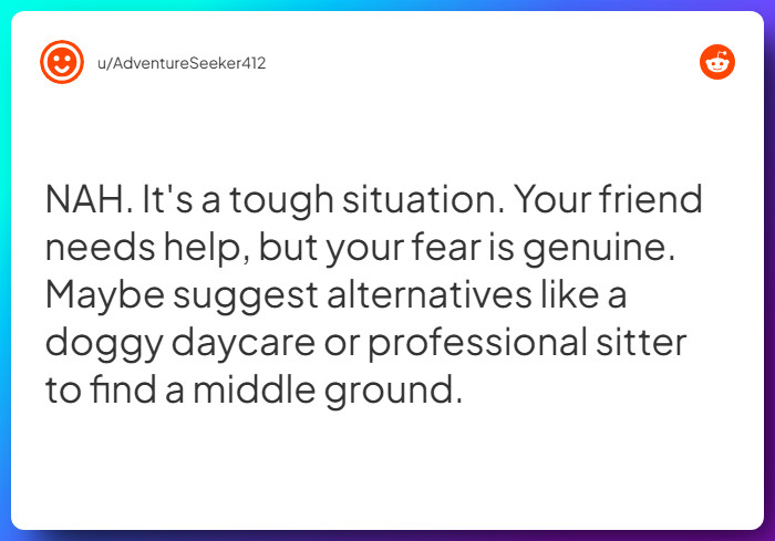 Comment from u/AdventureSeeker412