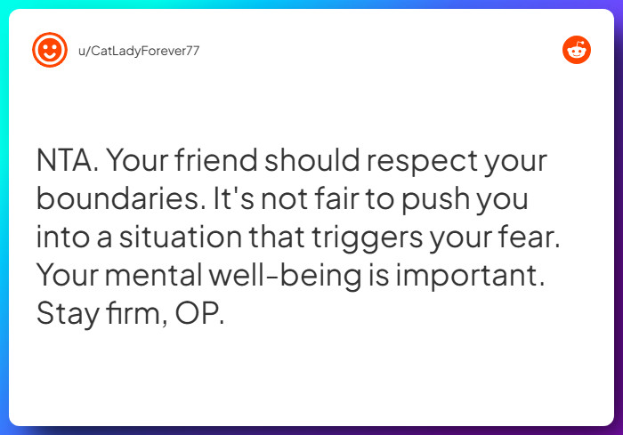 Comment from u/CatLadyForever77