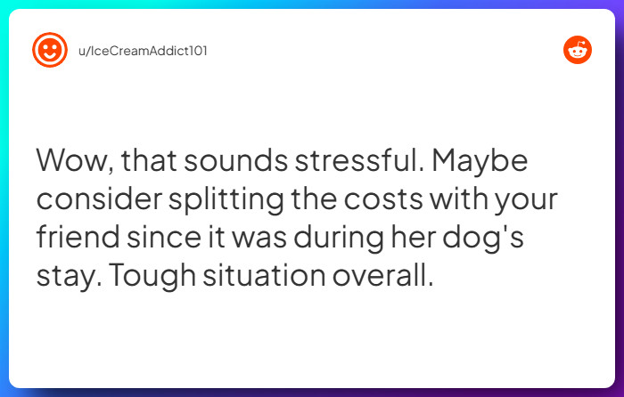 Comment from u/IceCreamAddict101