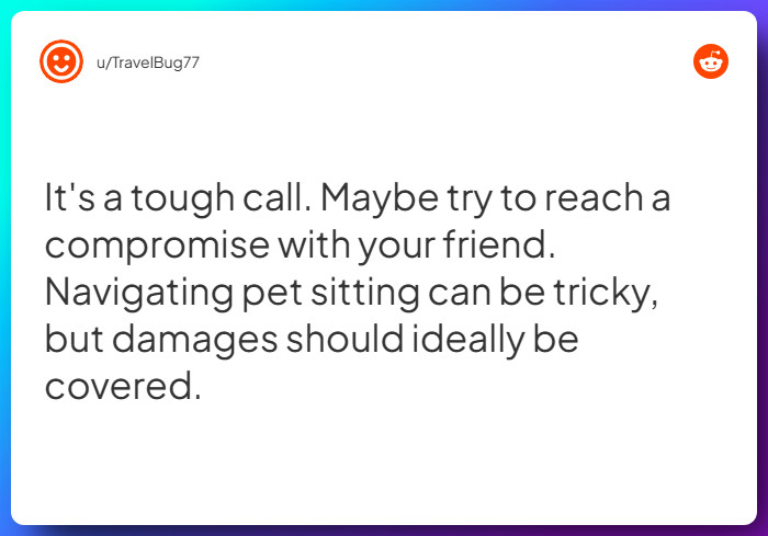 Comment from u/TravelBug77