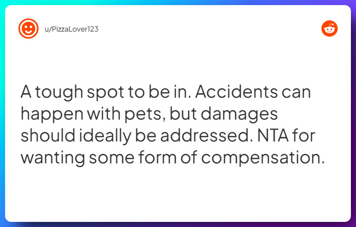 Comment from u/PizzaLover123