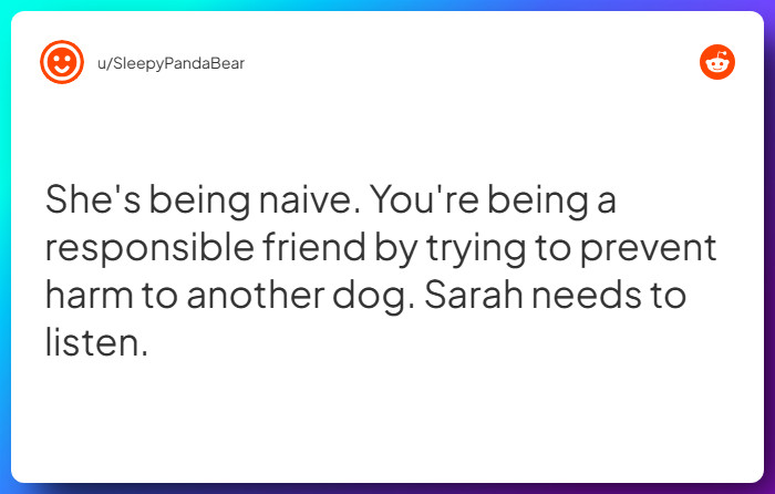 Comment from u/SleepyPandaBear