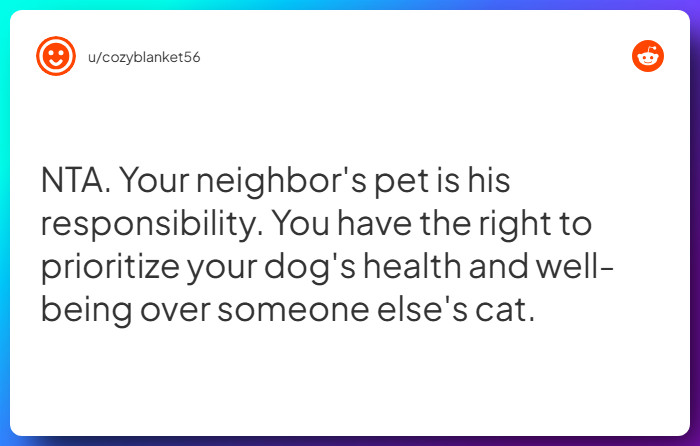 Comment from u/cozyblanket56