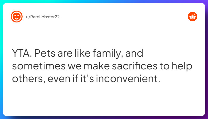 Comment from u/RareLobster22