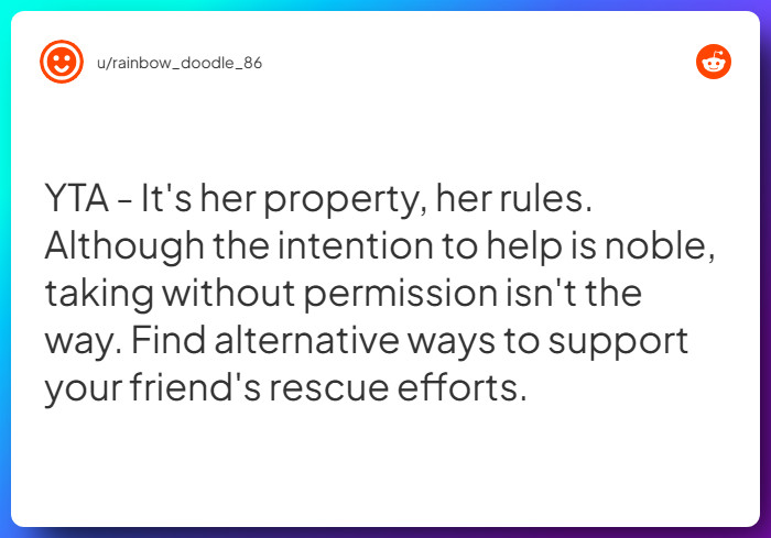 Comment from u/rainbow_doodle_86