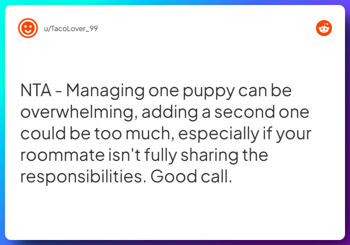 Comment from u/TacoLover_99