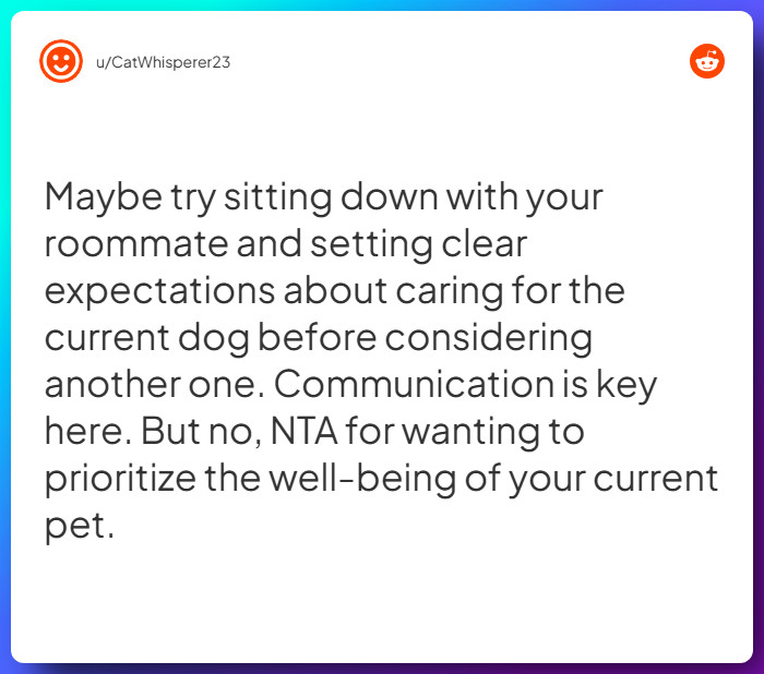 Comment from u/CatWhisperer23