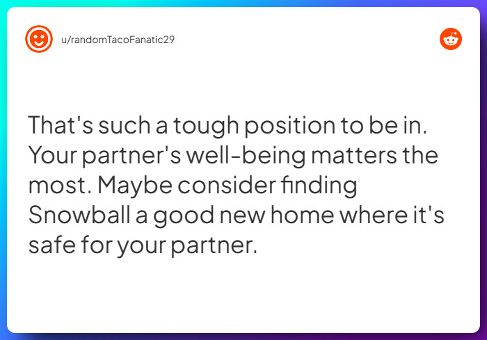 Comment from u/randomTacoFanatic29